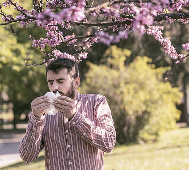 Homme souffrant d'une rhinite allergique |MACSF